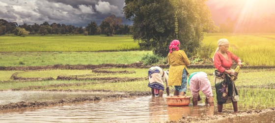 Women Farmers in Agribusiness